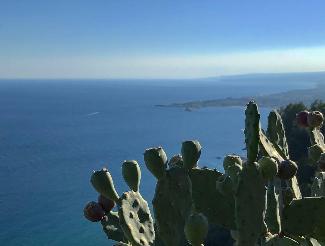La Baia Dei Delfini Leilighet Taormina Eksteriør bilde